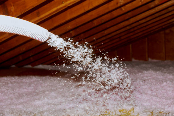 Best Blown-in Insulation in Magnolia, TX