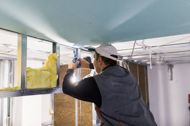 Best DIY Insulation Kits and Guidance in Magnolia, TX