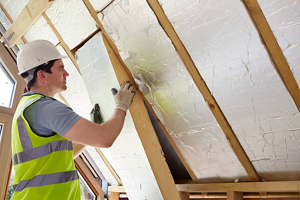 Best Cellulose Insulation in Magnolia, TX