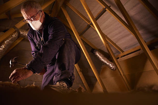 Trusted Magnolia, TX Insulation Contractor Experts